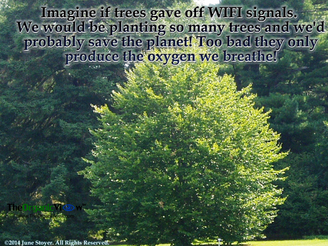 Imagine if trees gave off WIFI signals We would be planting so many trees and we'd probably save the planet!