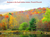 Autumn is the hush before winter. French Proverb