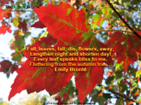 Fall, leaves, fall; die, flowers, away Lengthen night and shorten day Fluttering from the autumn tree...Emily Brontë