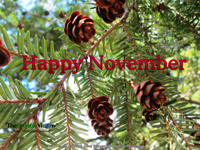 Happy November (Photo- June Stoyer)