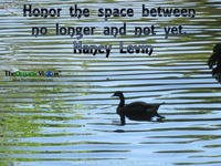Honor the space between no longer and not yet.Nancy Levin