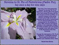 Novena to St Pio of Pietrelcina -Padre Pio