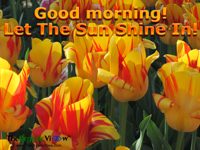 Good morning and let the sun shine in