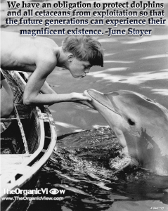 We have an obligation to protect #dolphins & all cetaceans from exploitation so future generations can experience them 