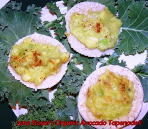 Organic Avocado Tapenade On Mini Pita
