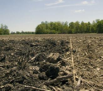 Field experiments were initiated to investigate the effects of biochar produced from corn stover on crop production and nutrient dynamics. BiocharAppliedNY