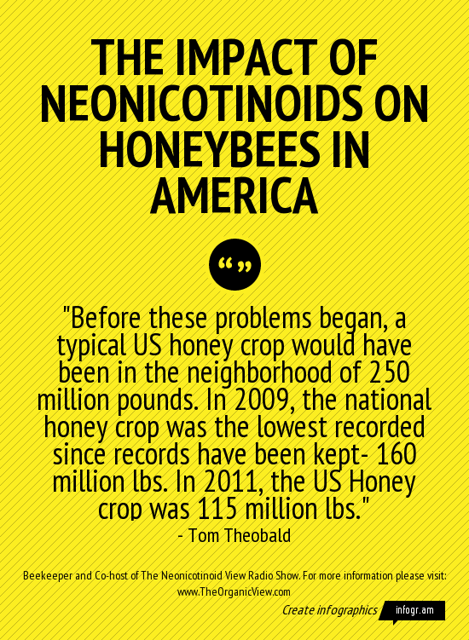 The Impact of Neonicotinoids