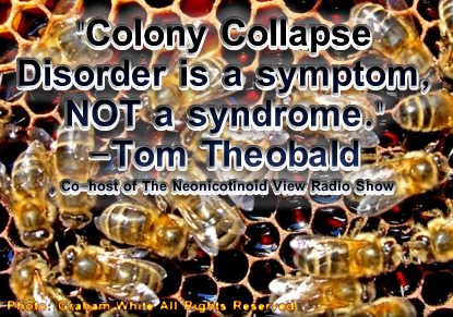 Tom Theobald Colony Collapse Disorder is a symptom, not a syndrome