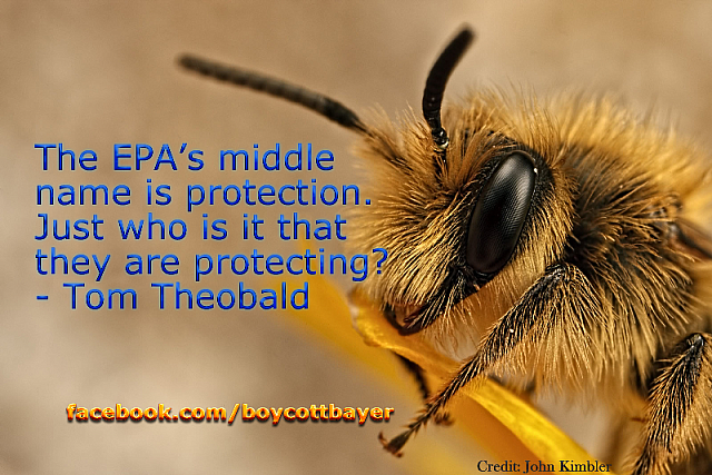 TomTheobald-EPA1