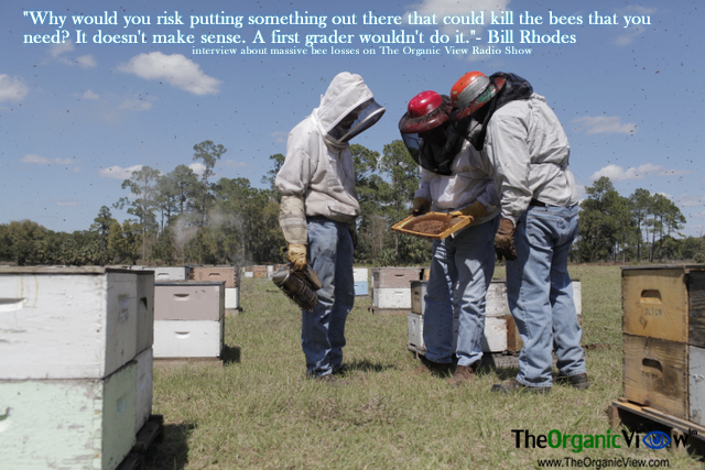 Why would you risk putting something out there that could kill the bees that you need? It doesn't make sense. A first grader wouldn't do it."- Bill Rhodes