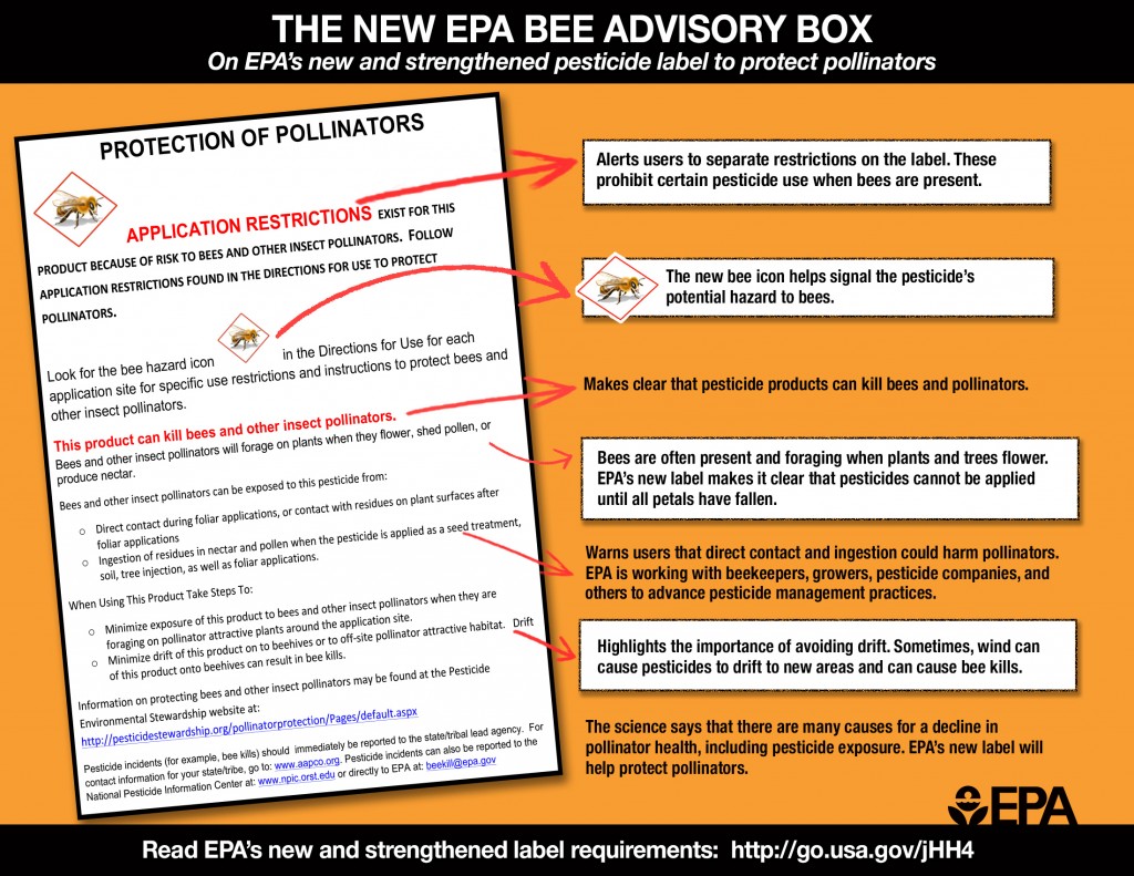bee-label-info-graphic