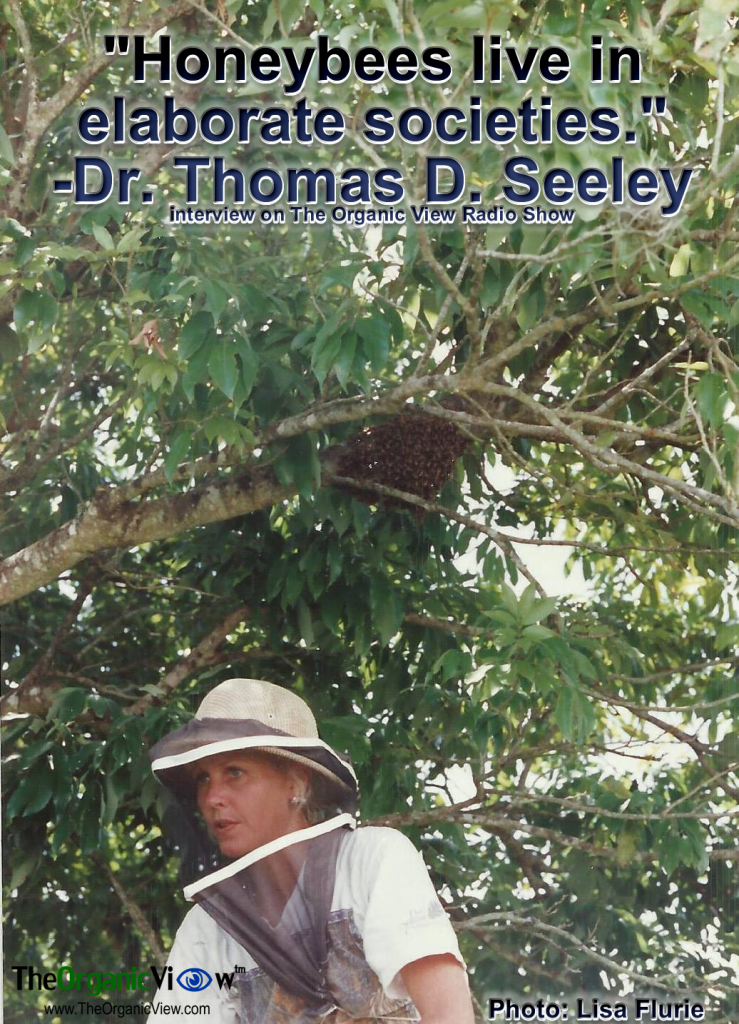 Honeybees live in elaborate societies. -Dr. Thomas D. Seeley