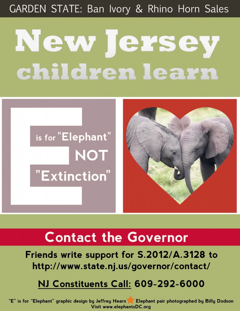 E is for Elephant not Extinction