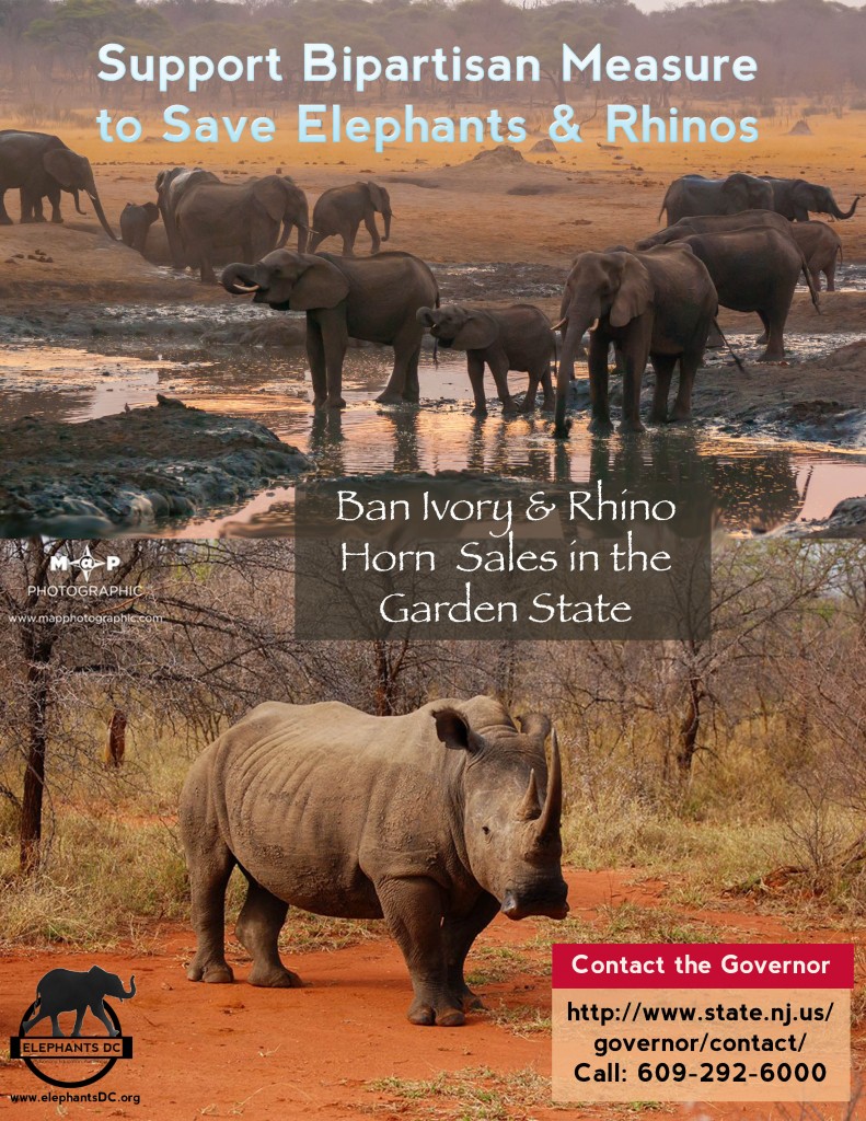 Support bipartisan measure to save elephants and rhinos!