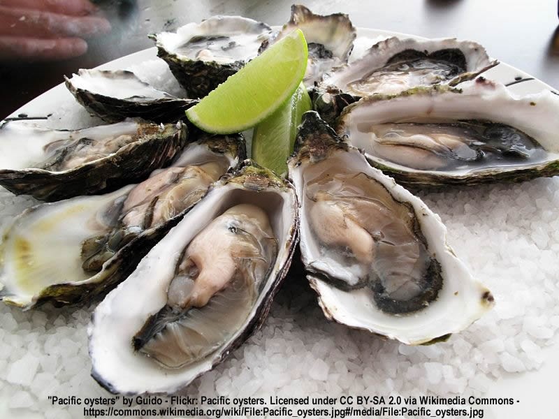 Should Oyster Farmers Use Neonicotinoids?