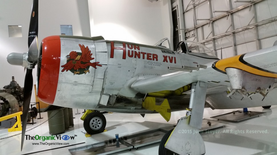 P-47D Thunderbolt Hun Hunter XVI at Tennessee Museum of Aviation. Photo by June Stoyer