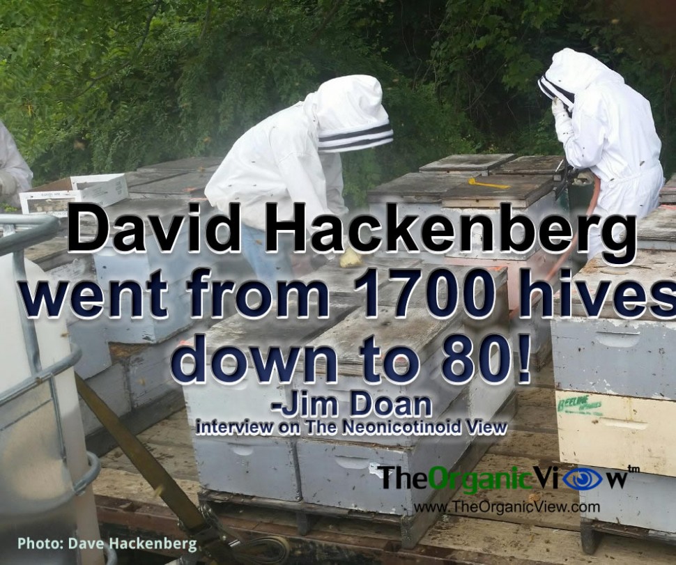 David Hackenberg went from 1700 hives down to 80- Jim Doan