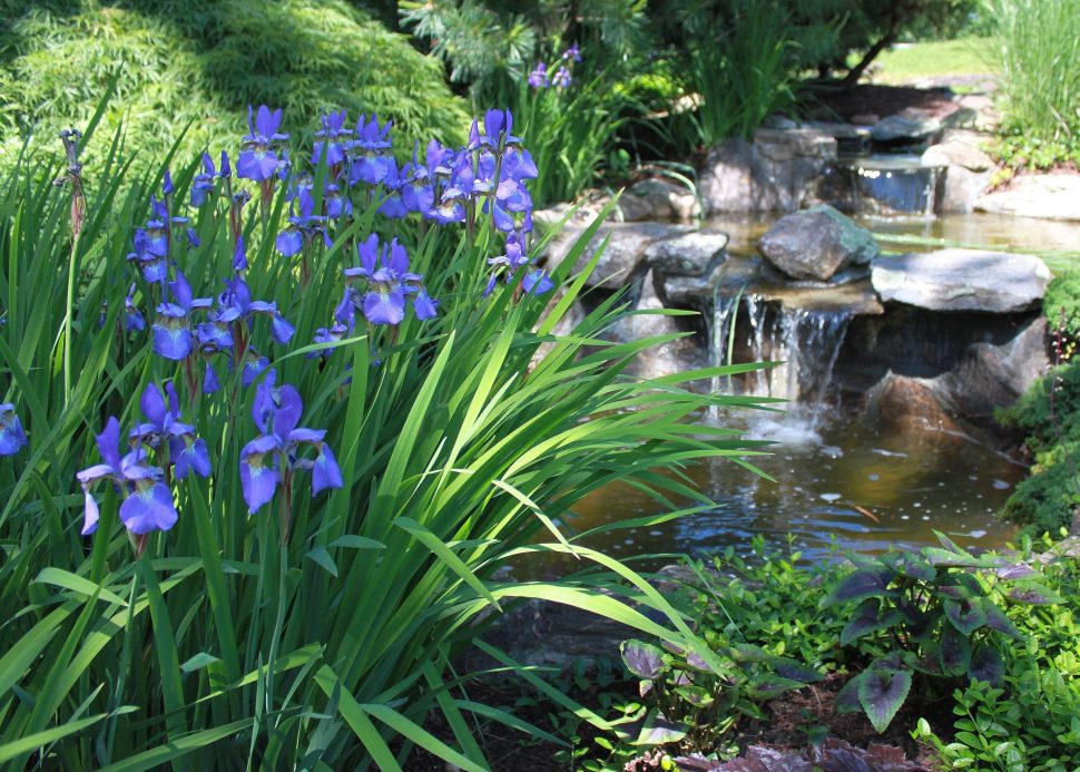 Water elements create peace and tranquility.