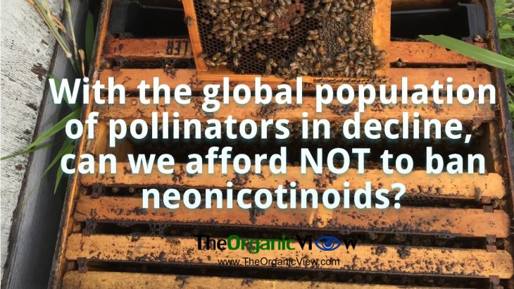 Can we afford NOT to ban neonicotinoids