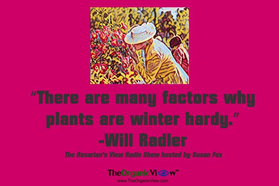 There are many factors why plants are winter hardy. Wil Radler